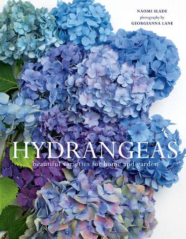 Hydrangeas: Beautiful Varieties for Home & Garden - The Preppy Bunny